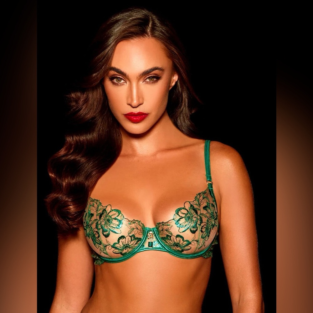 NWT Honey Birdette Willow Underwire plunge bra in Emerald size 38DDD
